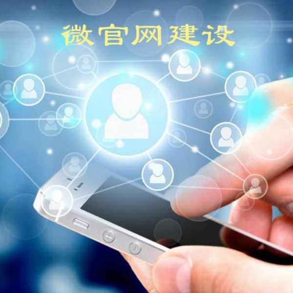 上海门户网站建设公司，专业定制您的品牌官网，提升企业形象与曝光度